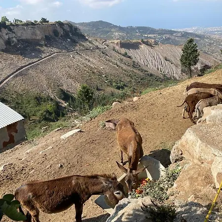 Magia22 - Place For The Soul! * 카티카스