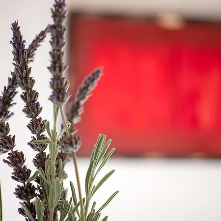 Magia22 - Place For The Soul! *