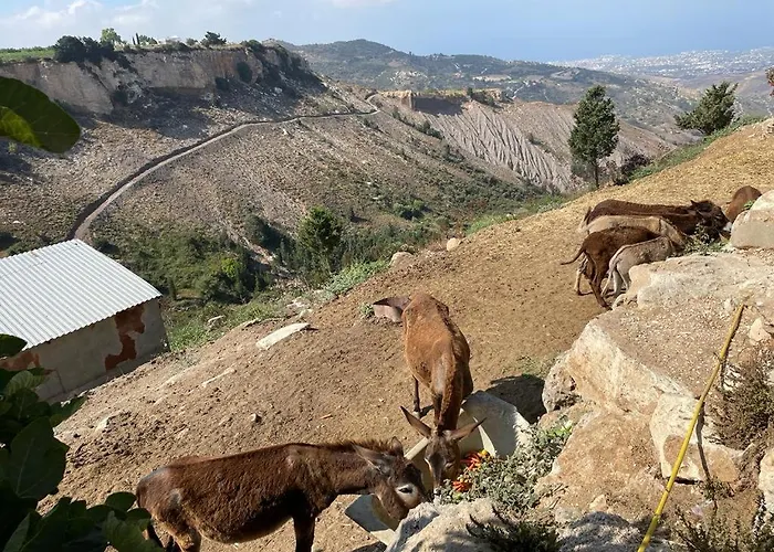 Magia22 - Place For The Soul! * カースィカス